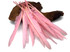 10 Pieces - Light Pink Goose Pointers Long Primaries Wing Feathers