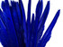 1/4 Lb. - Royal Blue Goose Pointers Long Primaries Wing Wholesale Feathers (Bulk)