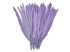 1/4 Lb. - Lavender Goose Pointers Long Primaries Wing Wholesale Feathers (Bulk)