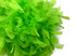 2 Yards - Lime Green Heavy Weight Chandelle Feather Boa | 80 Gram