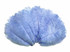 10 Pieces - 8-10" Light Blue Ostrich Dyed Drabs Feathers