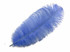 100 Pieces - 8-10" Light Blue Ostrich Dyed Drab Body Wholesale Feathers (Bulk)