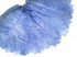 100 Pieces - 8-10" Light Blue Ostrich Dyed Drab Body Wholesale Feathers (Bulk)
