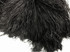 50 Pieces - 12-16" Black Ostrich Tail Centerpiece Costume Wholesale Feathers (Bulk)