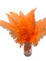 10 Pieces - 20-28" Orange Ostrich Spads Large Wing Feathers