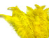 1/2 Lb - Yellow Large Ostrich Spads Wholesale Feathers 20-28" (Bulk)