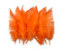 1/2 Lb - Orange Large Ostrich Spads Wholesale Feathers 20-28" (Bulk)