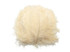 10 Pieces - 18-24" Cream Large Prime Grade Ostrich Wing Plume Centerpiece Feathers