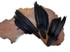 1 Piece - Black Dyed Duck Pointer Wing Fan Trim Pad