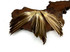1 Piece - Natural Brown Duck Pointer Wing Fan Trim Pad