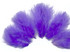 1/4 Lb - Lilac Turkey Marabou Short Down Fluffy Loose Wholesale Feathers (Bulk)
