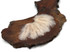 1 Pack - Nude Turkey Marabou Short Down Fluff Loose Feathers 0.10 Oz.