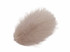 1/4 Lb - Nude Turkey Marabou Short Down Fluffy Loose Wholesale Feathers (Bulk)