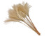 10 Pieces - 14-16" Natural Ivory Preserved Dried Horsetail Whisk Plume Reed Grass