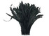 2.5 Inch Strip - 14-16" Black Strung Natural Bleach & Dyed Coque Tails Feathers