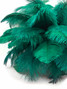 1/2 lb. - 14-17" Teal Green Ostrich Large Body Drab Wholesale Feathers (Bulk)
