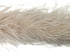 2 Yards - Ivory 3 Ply Ostrich Medium Weight Fluffy Feather Boa
