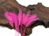 1 Yard - Hot Pink Stripped Rooster Neck Hackle Eyelash Wholesale Feather Trim (Bulk)