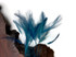 1 Dozen - Teal Blue Stripped Rooster Neck Hackle Eyelash Feather