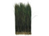 2 Inch Strip - 16-18" Natural Iridescent Green Peacock Flue / Herl Strung Feathers