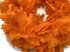 2 Yards - Orange Heavy Weight Turkey Flat Feather Boa, 150 Gram