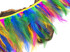 1 Yard - Multicolor Spring Rooster Neck Hackle Saddle Feather Wholesale Trim