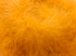 2 Yards - Golden Yellow Turkey Medium Weight Marabou Feather Boa 25 Gram