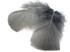 1 Pack - Grey Turkey T-Base Plumage Feathers 0.50 Oz.