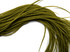 10 Pieces – Solid Olive Green Thin Long Whiting Farm Rooster Hair Extension Feathers