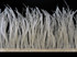 6 Inch Strip - Ivory Ostrich Fringe Trim  Feather