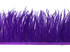 6 Inch Strip - Purple Ostrich Fringe Trim Feather