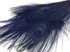 5 Pieces - Navy Blue Bleached & Dyed Peacock Tail Eye Feathers 10-12" Long