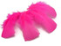 1 Pack - Hot Pink Dyed Turkey T-Base triangle Body Plumage Feathers 0.50 Oz.