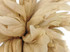 2.5  Inch Strip -  Ivory Strung Natural Bleach Coque Tails Feathers