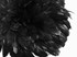 4 Inch Strip - Black Dyed Half Bronze Strung Rooster Schlappen Feathers