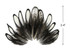 1 Dozen - Natural White Whiting Farms Laced Hen Saddle Feathers