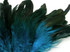 4 Inch Strip - Turquoise Blue Dyed Half Bronze Strung Rooster Schlappen Feathers