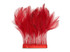 1 Dozen - Red Stripped Rooster Hackle Feather