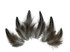 10 Pieces - Natural Black And White Jungle Cock Loose Feather