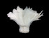 4 Inch Strip - Natural White Strung Rooster Schlappen Feathers
