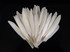 1 Pack - Natural White Duck Cochettes Loose Wing Quill Feather 0.30 Oz.