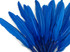 1 Pack - Turquoise Blue Dyed Duck Cochettes Loose Wing Quill Feather 0.30 Oz.