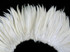 4 Inch Strip - Natural White Strung Rooster Neck Hackle Feathers