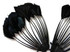 1 Piece - Black Dyed Stripped Duck Cochette Center Fan Feather Pad