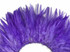 4 Inch Strip – 4-6” Dyed Lavender Strung Chinese Rooster Saddle Feathers