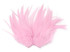 4 Inch Strip – 4-6” Dyed Light Pink Strung Chinese Rooster Saddle Feathers 