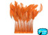1 Dozen - Orange Stripped Rooster Coque Tail Feathers