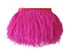 6 Inch Strip - Hot Pink Ostrich Fringe Trim Feather