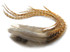 6 Pieces - XL Bleached Thick Long Grizzly Whiting Farm Rooster Saddle Hair Extension Feathers