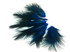 1 Dozen - Solid Turquoise Blue & Black Mini Rooster Chickabou Fluff Whiting Hair Feathers